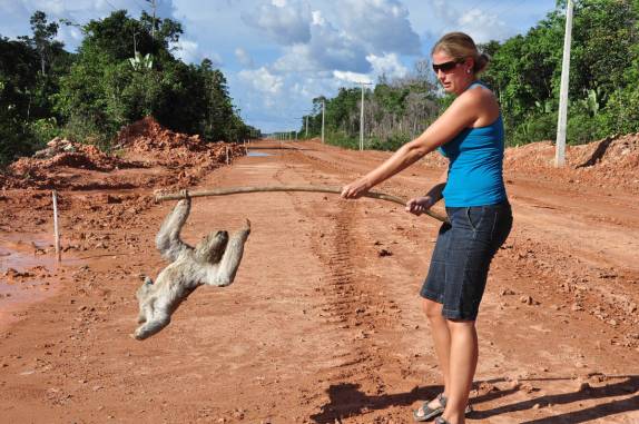 Ajudando o bicho-preguiça a cruzar a estrada, no trecho inicial da BR-319, rodovia que liga Manaus à Porto Velho